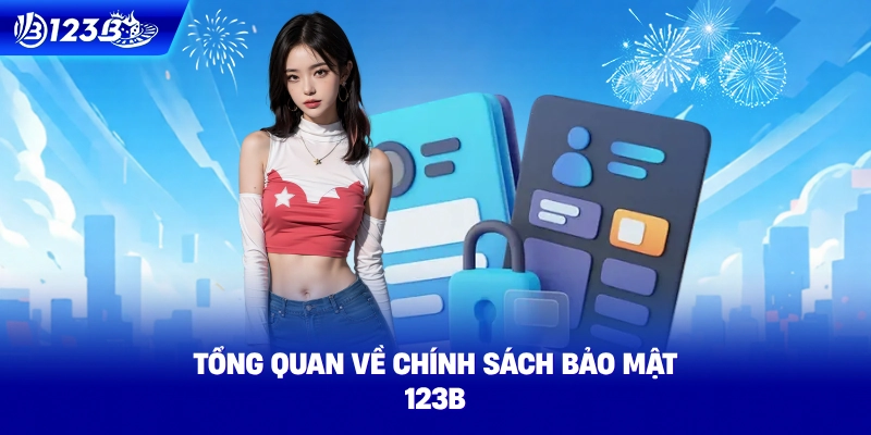 Tổng Quan Về Chính Sách Bảo Mật 123B